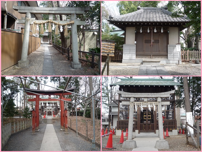 ツキからの使者 ウサギだらけの調 ツキ 神社で恋愛運アップ 電話占いシエロ