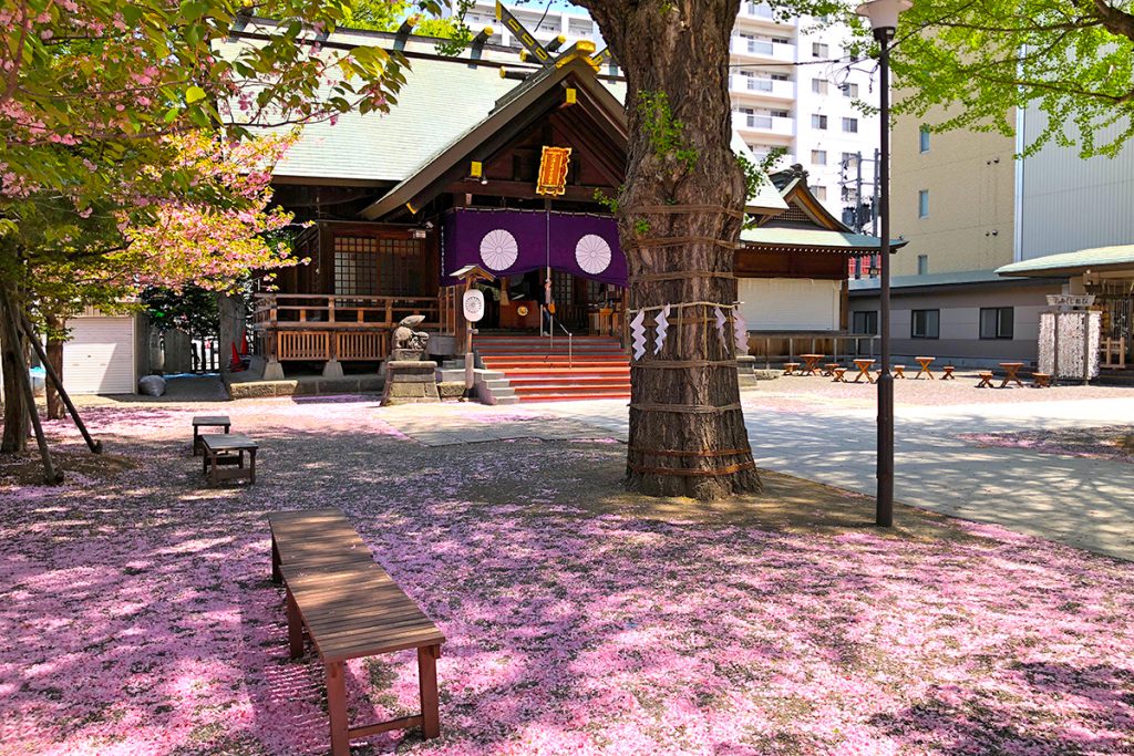 くぐる鳥居で御利益が変わる 令和初のパワースポットは御利益いっぱいの 北海道神宮 へ 電話占いシエロ 初指名10分無料 口コミが話題の恋愛 復縁へ導く占い師在籍